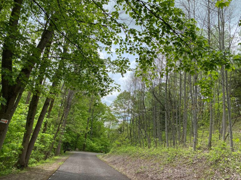 Stillness: When God Calls Me To Rest